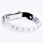 Studded Cat Collars
