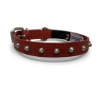 Studded Cat Collars