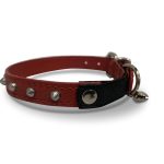 Studded Cat Collars