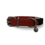 Studded Cat Collars