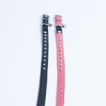 Studded Cat Collars