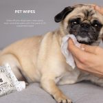 Deluxe Dog Grooming Kit